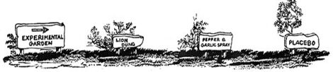 Backyard Horticulture Research Image